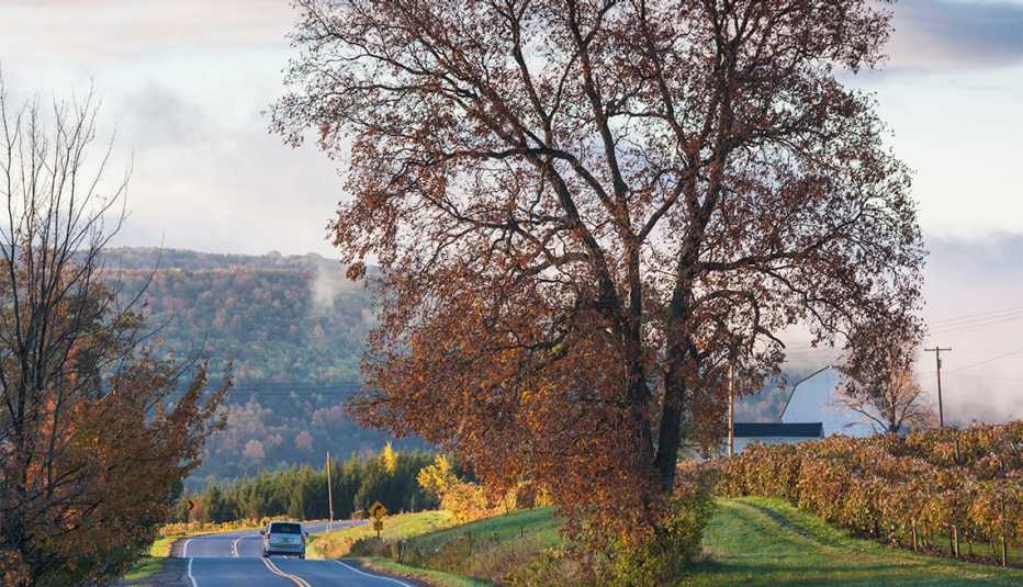 Hammondsport, NY country road