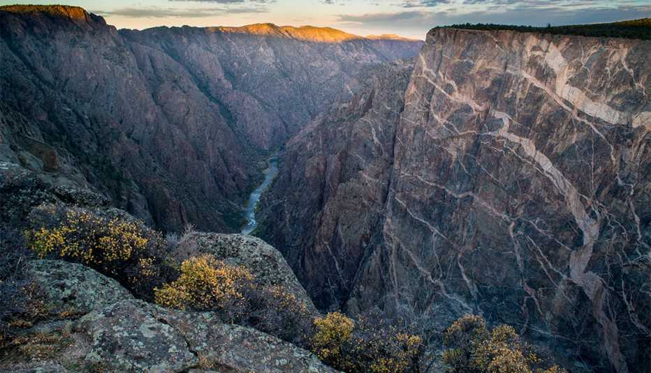 Sunrise over Gorge and Amelanchier, Gunnison River, Black Canyon National Park, Colorado.