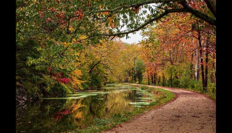 Fall foliage