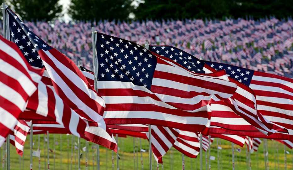 Field of American flags waving Field of American flags waving
