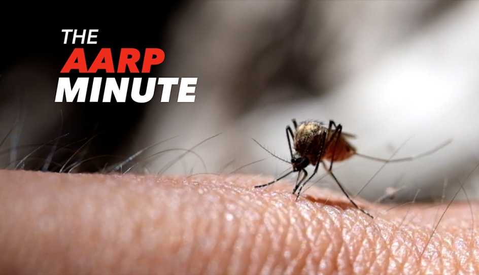  Dangers of mosquitos