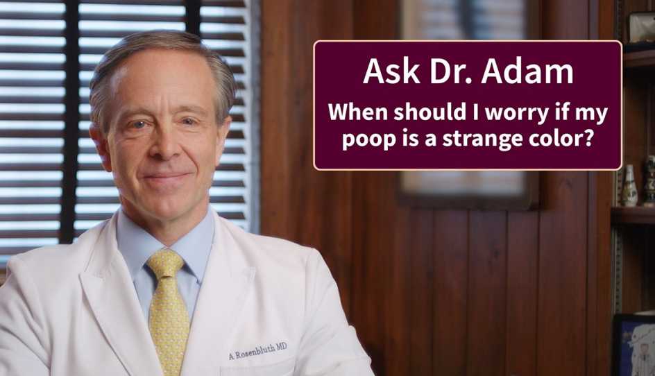 dr adam stool color