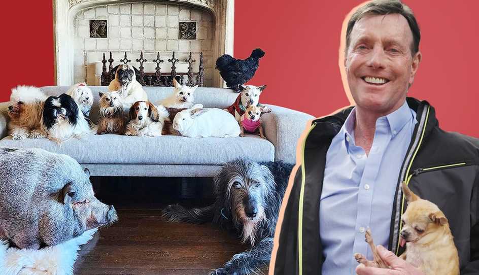 a man with a bunch of dogs