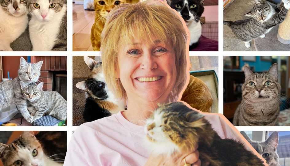 a woman with different cat pictures
