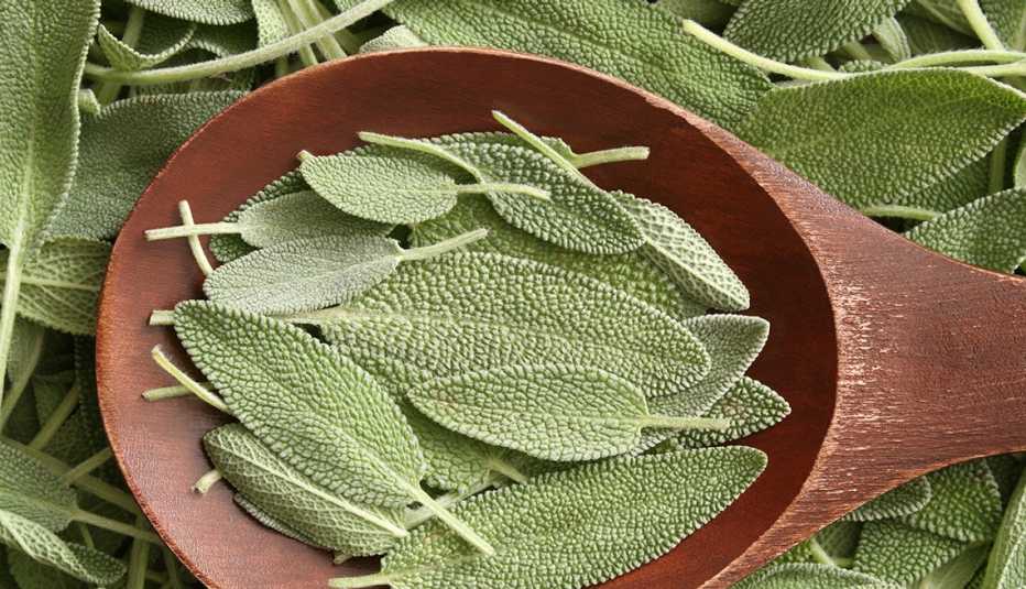 Hojas de salvia colocada sobre una cuchara de madera. 