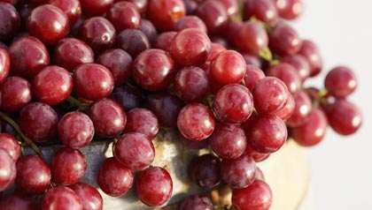Alimentos para combatir el dolor Alimentos para combatir el dolor