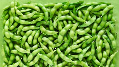 Alimentos para combatir el dolor