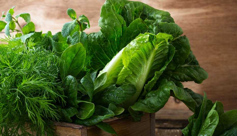 Vegetales verdes