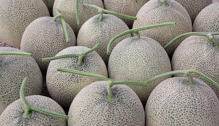Datos curiosos sobre los melones Datos curiosos sobre los melones