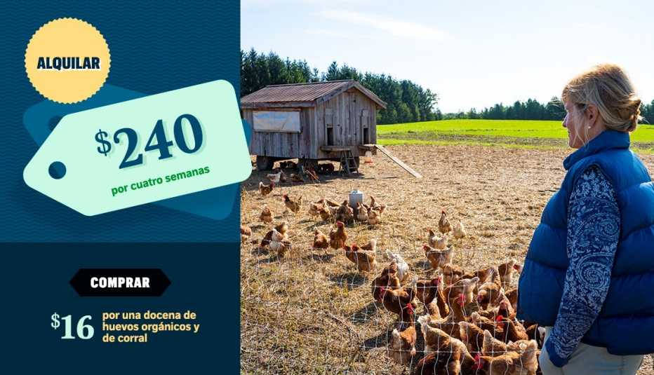 Mujer frente a un gallinero