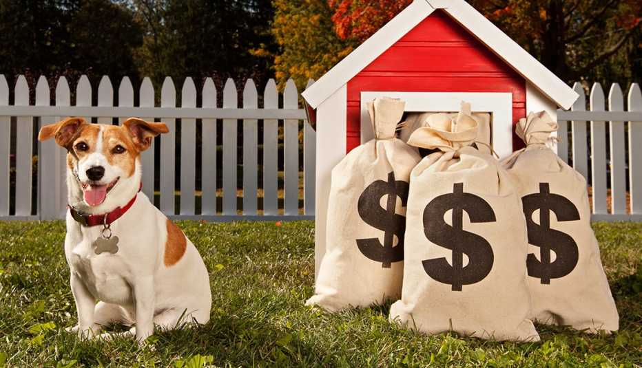 Perro al lado de su casa con bolsas de dinero al frente.