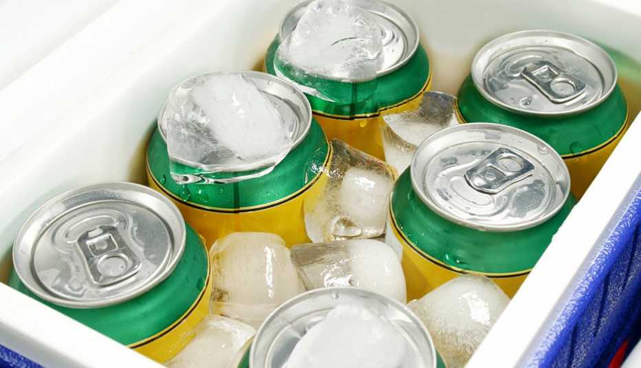 Neverita portátil con refrigerios