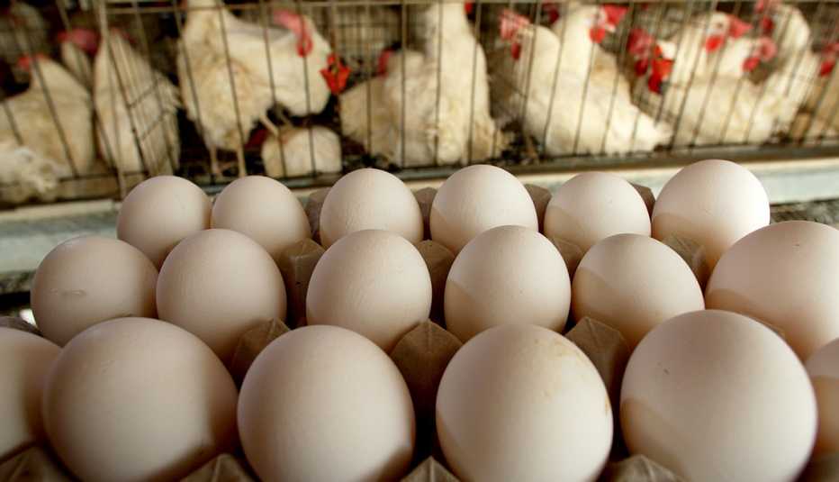 Gallinas en una jaula y una canasta de huevos alfrente