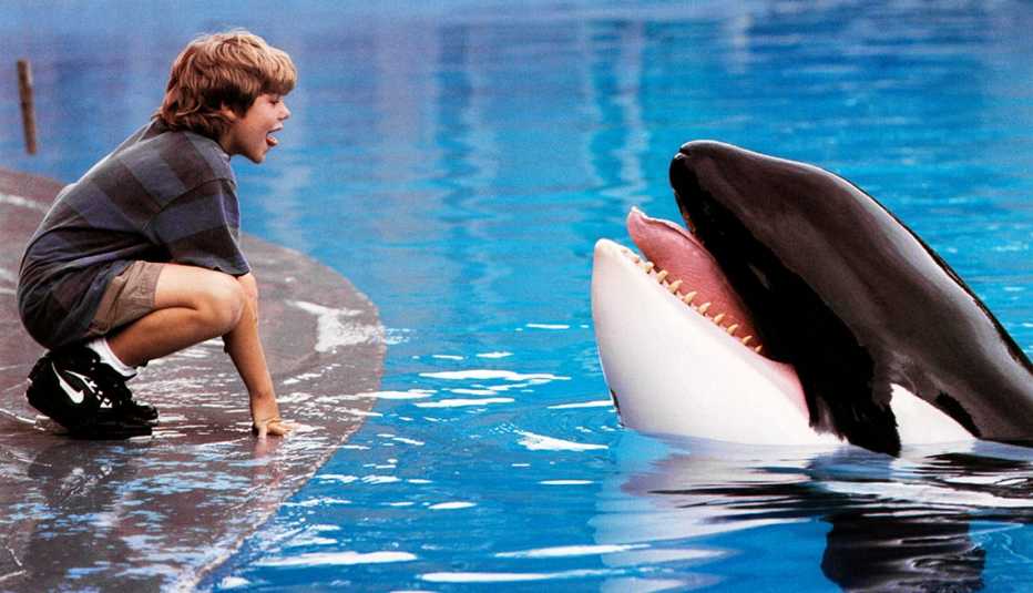 Animales estrellas de cine y TV - Keiko orca macho protagonista de Free Willy