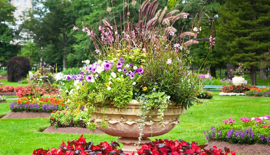 Variedad de plantas se observan en un pedestal de piedra
