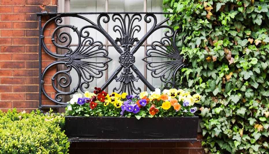 Maceta con flores en la parte exterior de una ventana