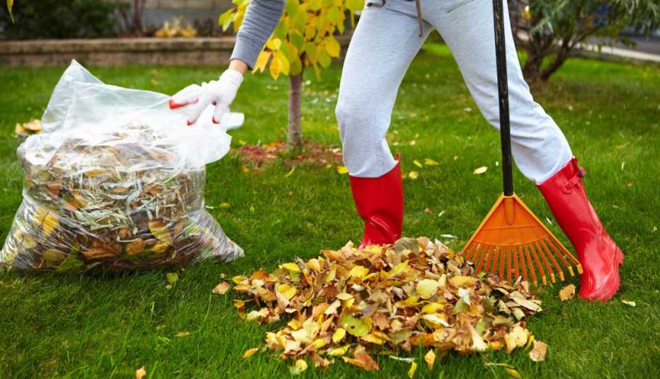 Mujer con botas rojas recoge hojas de otoño con un rastrillo. Mujer con botas rojas recoge hojas de otoño con un rastrillo.