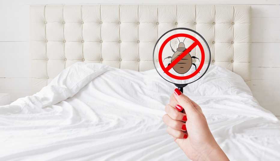 Persona con una lupa observa un chinche de cama Persona con una lupa observa un chinche de cama
