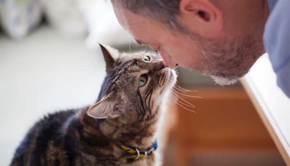 Hombre y gato se miran de frente