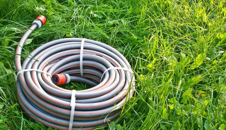 Manguera de jardinería sobre el pasto