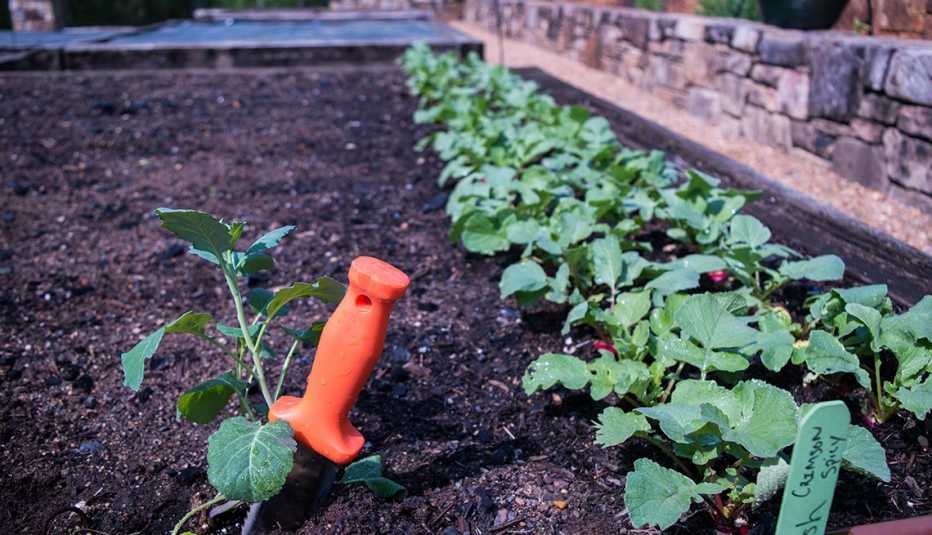 Cuchillo de jardinería enterrado en la tierra