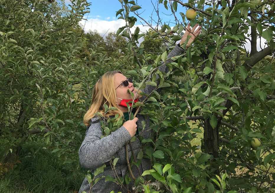Mujer arrancando una manzana de un árbol