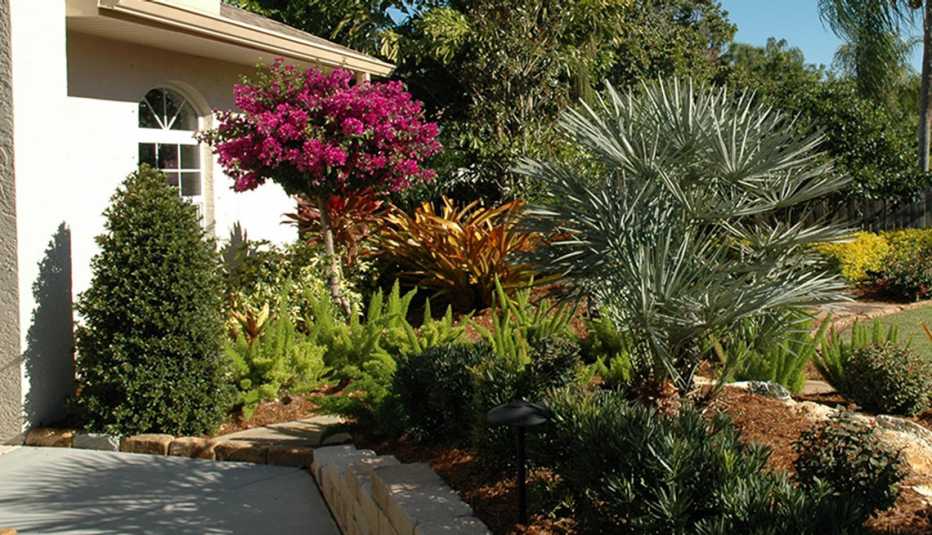 Jardín frondoso en el frente de una casa