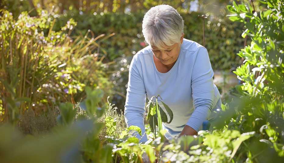 Una mujer trabaja en la jardinería de su patio trasero con guantes
