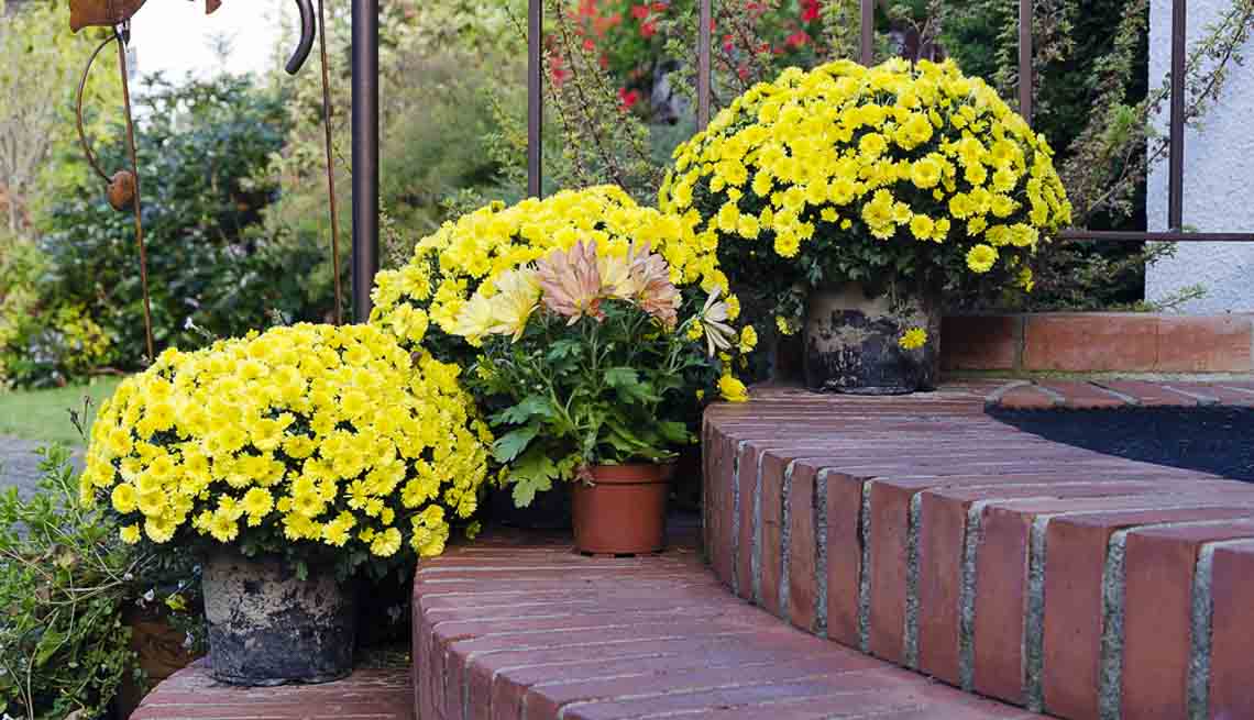 Ideas sencillas para mejorar el exterior de la casa