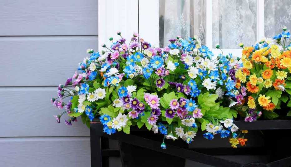 Jardineras colgando  sobre  el borde de una ventana