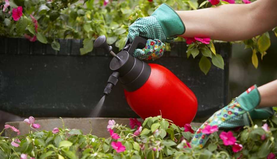 Mujer rociando flores del jardín