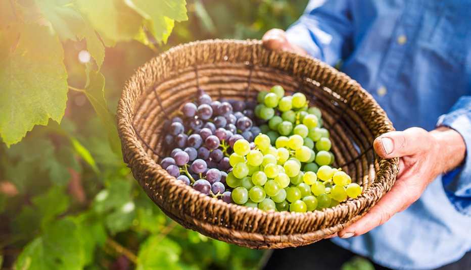 Manos sosteniendo una canasta con uvas verdes y moradas