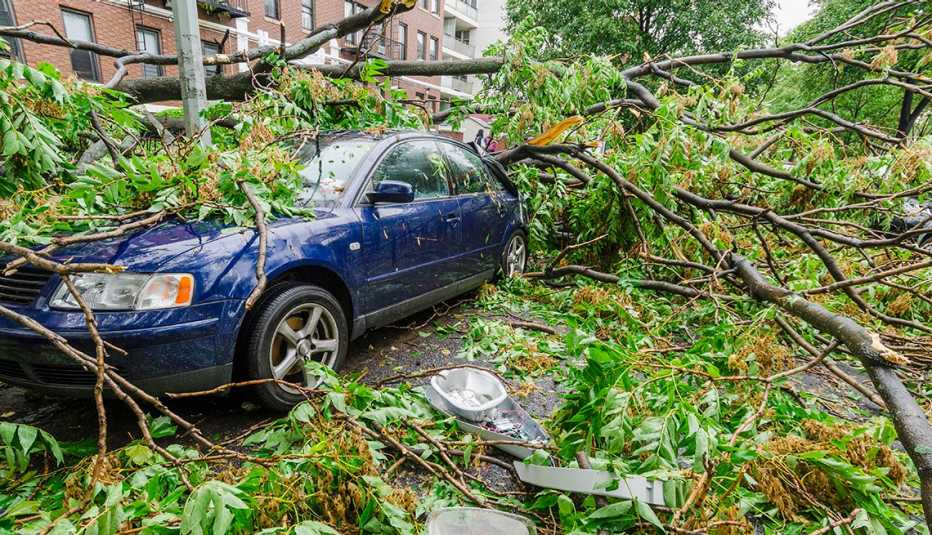 Árbol caído sobre un automóvil.
