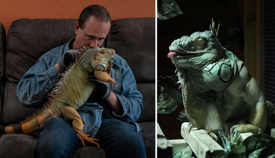 Tim Sullivan y su iguana Rocky