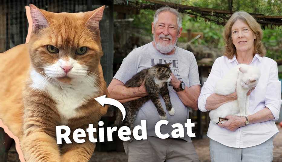 un hombre y una mujer sostienen gatos