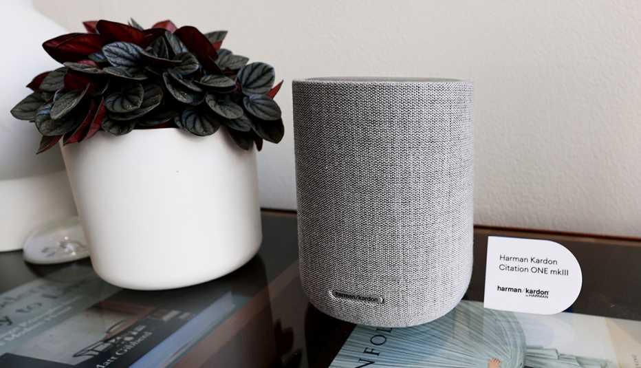 Altavoz inteligente de Google junto a una planta