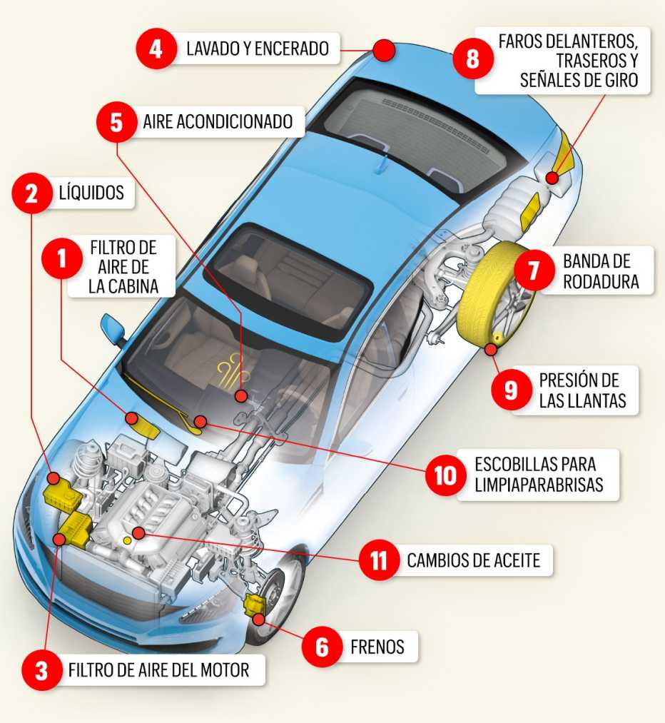 Gráfico muestra los puntos más críticos para el mantenimiento del auto