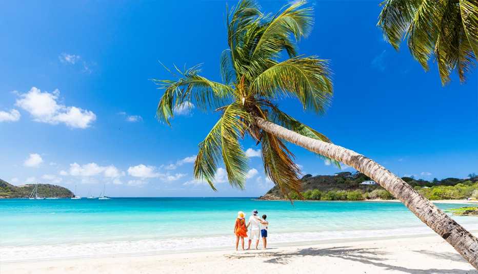 Viajar es uno de los principales beneficios para el verano Una familia frente a una playa bajo una palma.