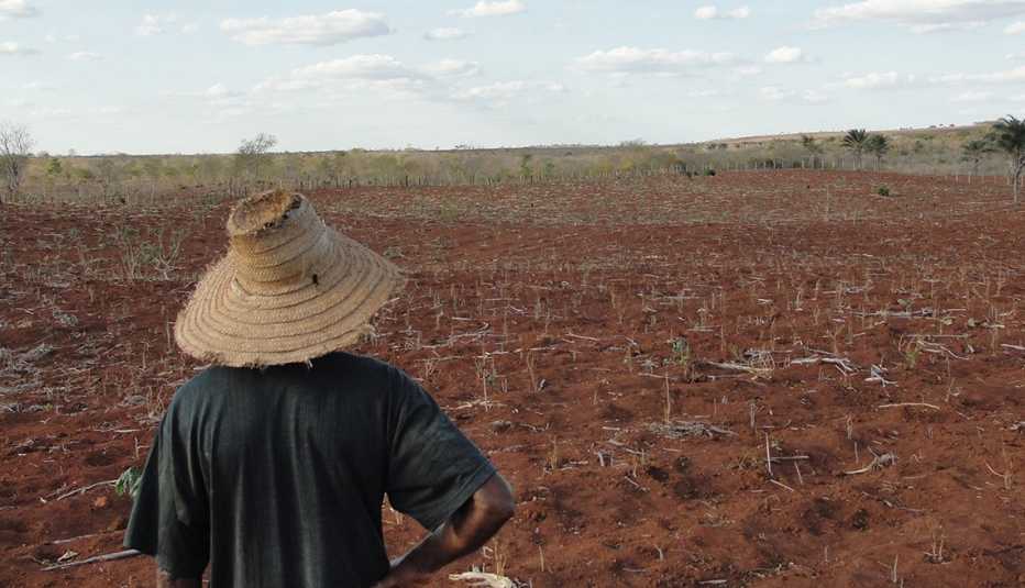 Agricultor mirando su tierra