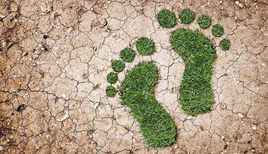 Dos huellas de pies hechas en hierba sobre un terreno erosionado