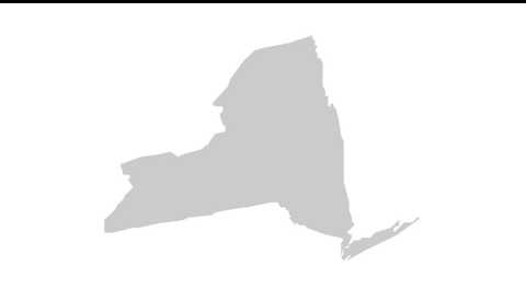 estado de Nueva York