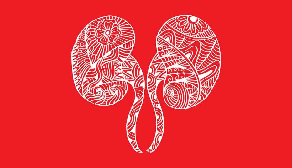 Ilustración de los riñones formado con líneas blancas sobre un fondo rojo