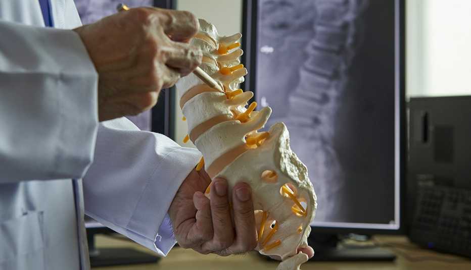 Un neurocirujano con un lápiz apuntando a un modelo de vértebra lumbar en un consultorio médico Un neurocirujano con un lápiz apuntando a un modelo de vértebra lumbar en un consultorio médico