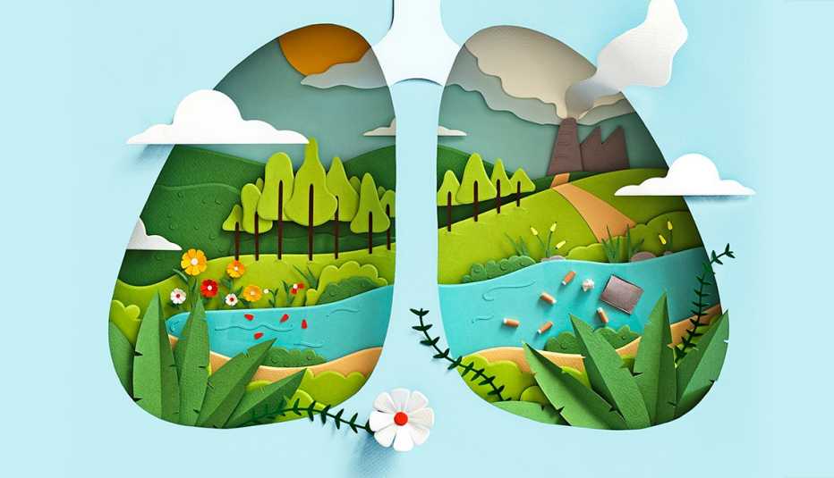 Ilustración de unos pulmones donde se ve un paisaje
