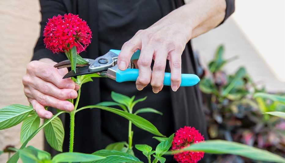 Mujer cuidando su jardín