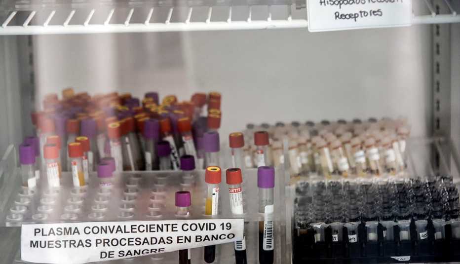 Cajas almacenadas que contienen muestras de plasma donadas por pacientes que se recuperaron de COVID-19
