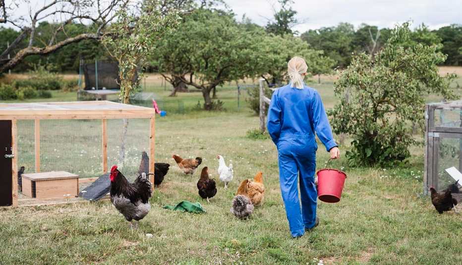 Una mujer alimenta unas gallinas en una granja
