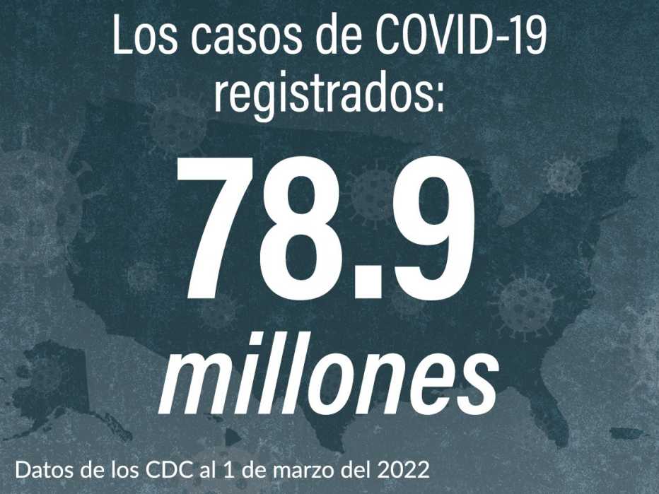 Gráfico sobre los casos de Covid registrados Gráfico sobre los casos de Covid registrados