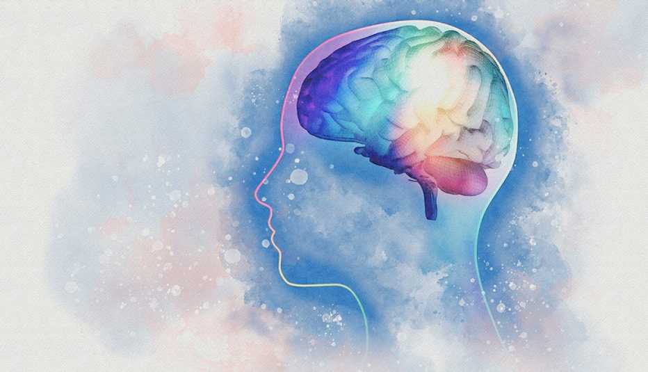 Ilustración del cerebro humano Ilustración del cerebro humano