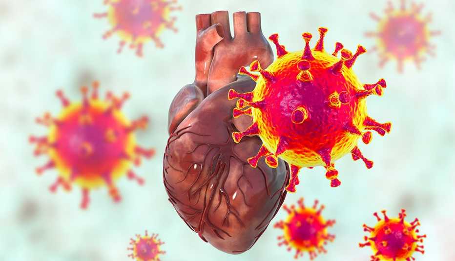 Ilustración del virus de la COVID afectando al corazón